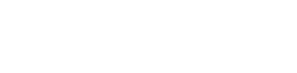 levlane-logo-1200