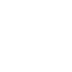 our-partners-white-provident-bank